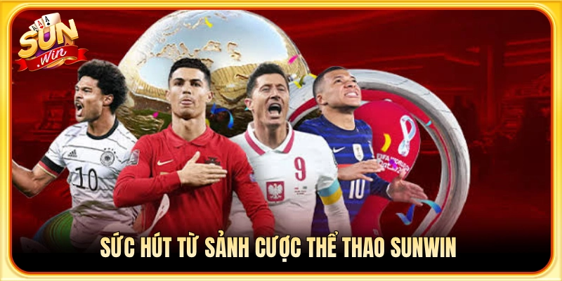 Lý do sảnh thể thao Sunwin lôi cuốn đông đảo cược thủ