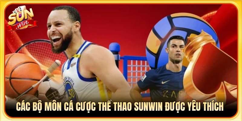 Danh mục những bộ môn cá cược được cược thủ săn đón nhất